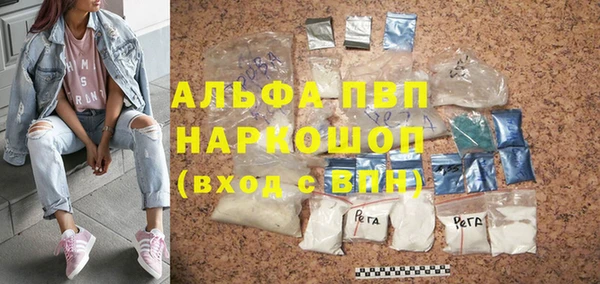 ECSTASY Покачи