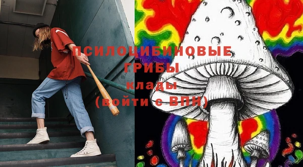 ECSTASY Покачи