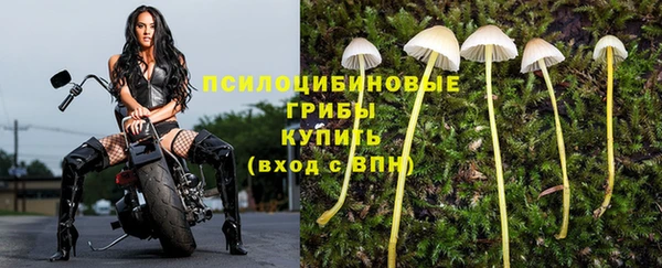 герыч Покровск