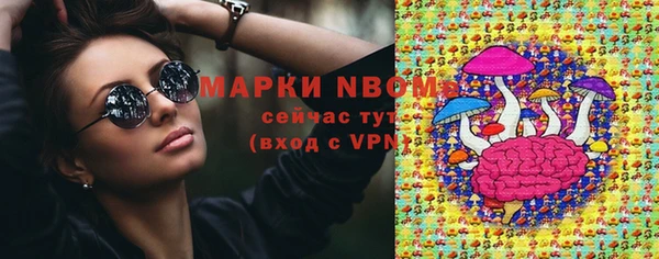 ECSTASY Покачи