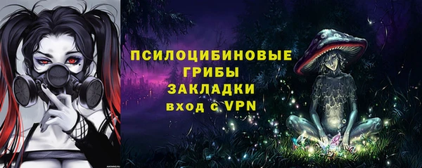 МДПВ Губаха