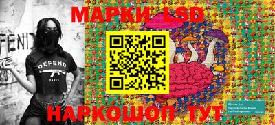 спайс Берёзовский