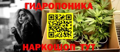 спайс Берёзовский