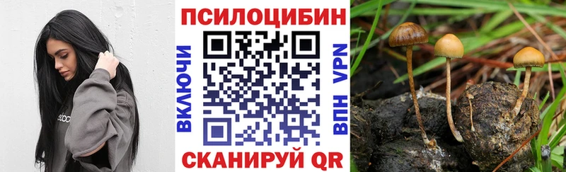 OMG ONION где купить наркотик Краснотурьинск Псилоцибиновые грибы мухоморы