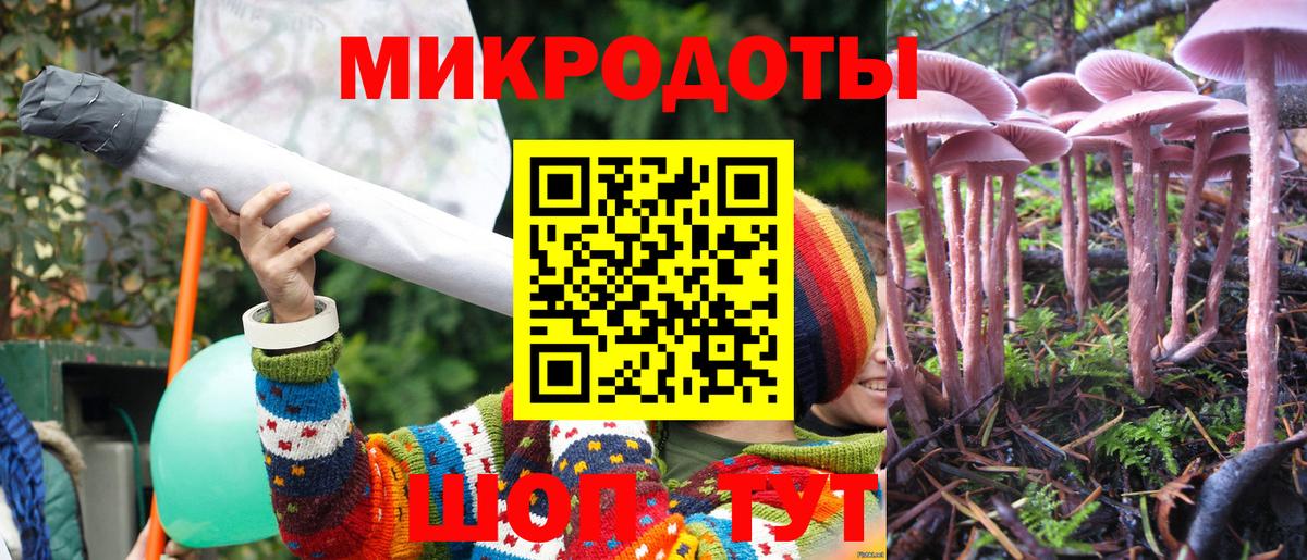 Псилоцибиновые грибы прущие грибы Краснотурьинск