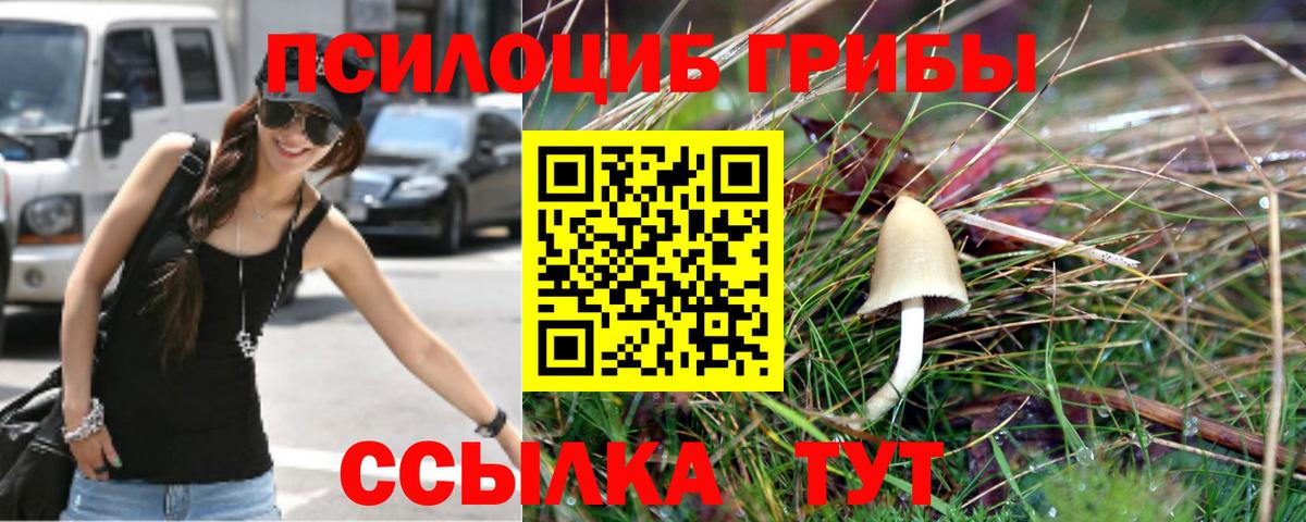 Краснотурьинск  Псилоцибиновые грибы мухоморы  Галлюциногенные грибы ЛСД  Вход с VPN 